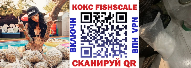 сколько стоит  Чита  КОКАИН FishScale 