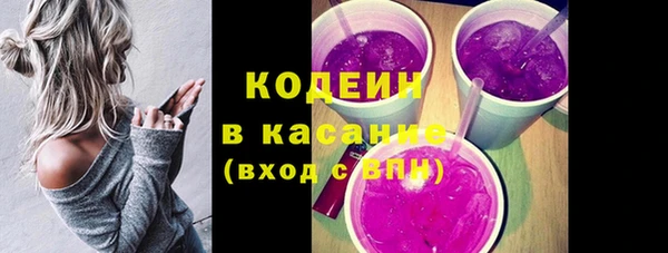 индика Няндома