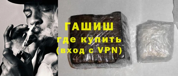 индика Няндома