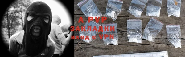 индика Няндома