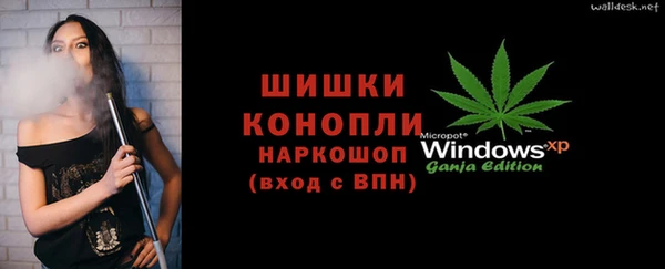 индика Няндома