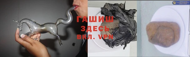 индика Няндома