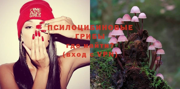 spice Железноводск