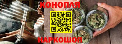 гидра Камышлов