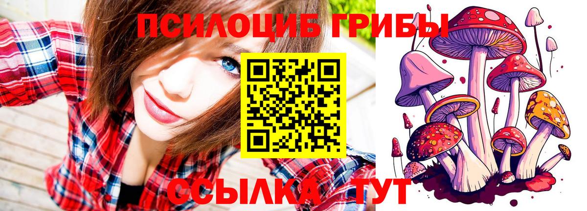 Галлюциногенные грибы Psilocybe Чита