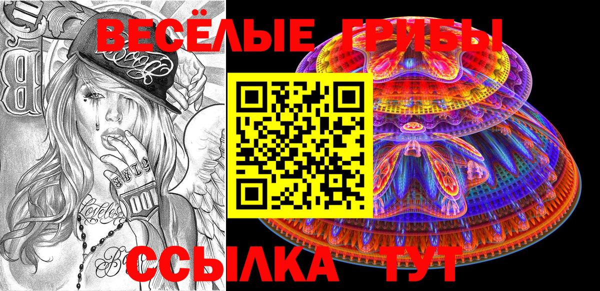 купить  цена  Вход с VPN  Псилоцибиновые грибы мицелий  Чита  Галлюциногенные грибы мухоморы 