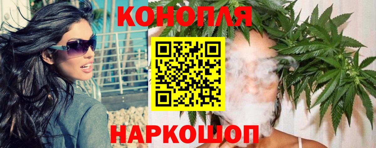 Бошки Шишки план Чита
